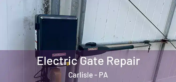 Electric Gate Repair Carlisle - PA